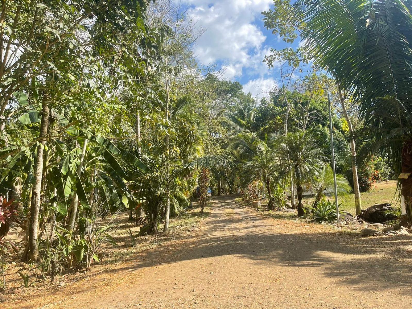 Macaw Paradise Jaco Exterior photo