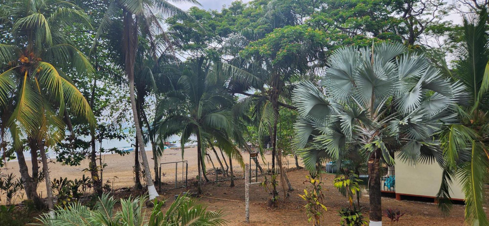 Macaw Paradise Jaco Exterior photo