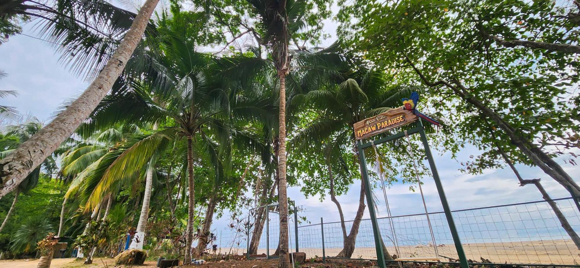Macaw Paradise Jaco Exterior photo